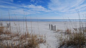 Une plage de sable avec une végétation clairsemée.