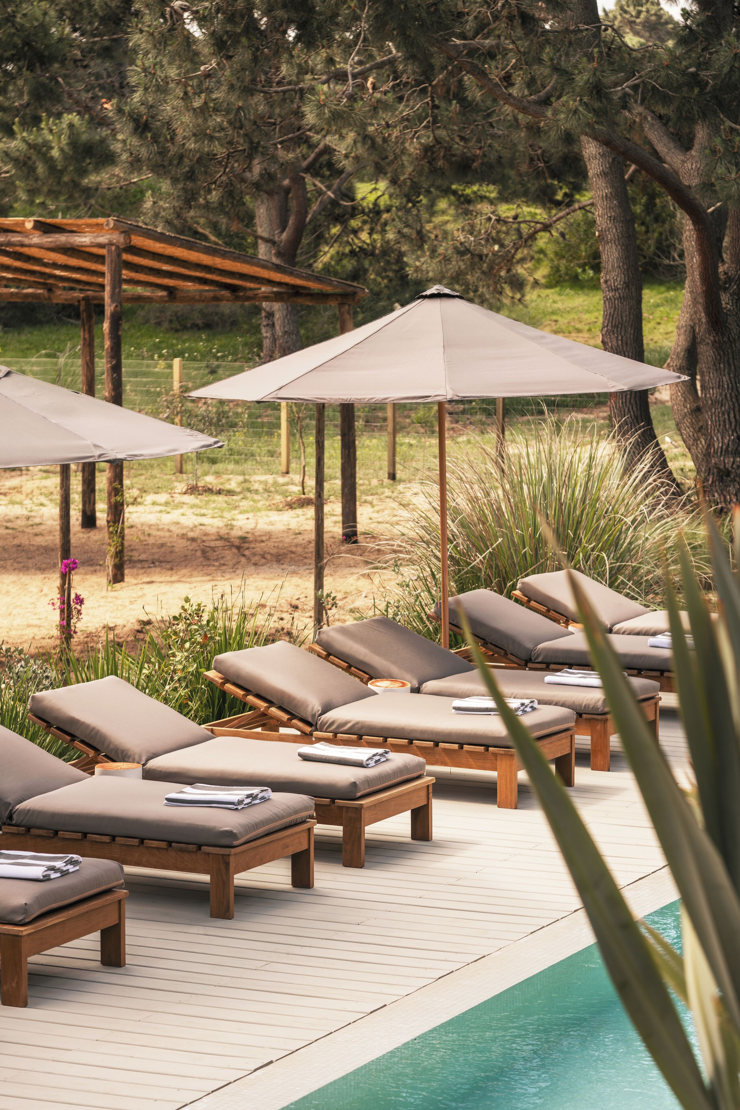 A poolside area with lounge chairs and umbrellas, surrounded by trees and greenery.