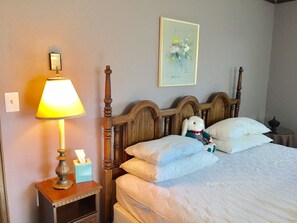Camera Tradizionale, 1 letto king, non fumatori, vista montagna | Wi-Fi gratuito, lenzuola
