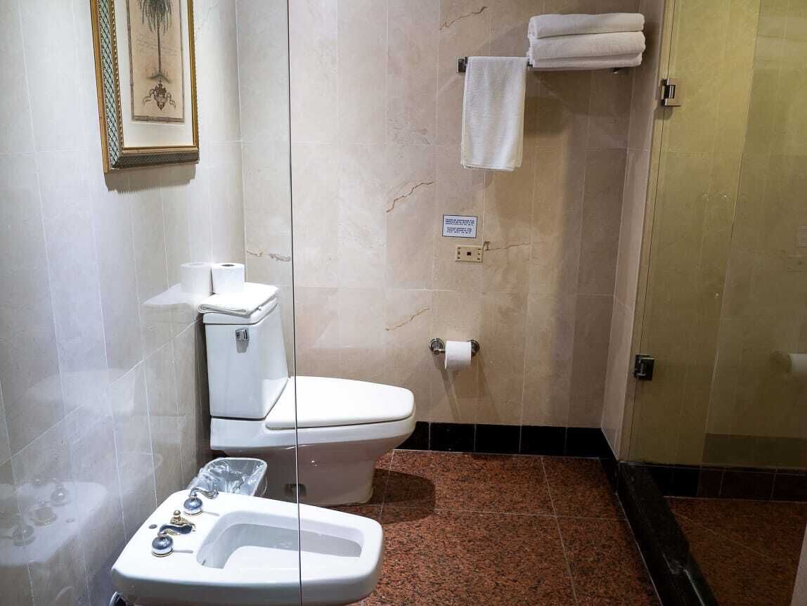 luxury suite, multiple beds, non smoking | bathroom | shower, free toiletries, hair dryer, towels