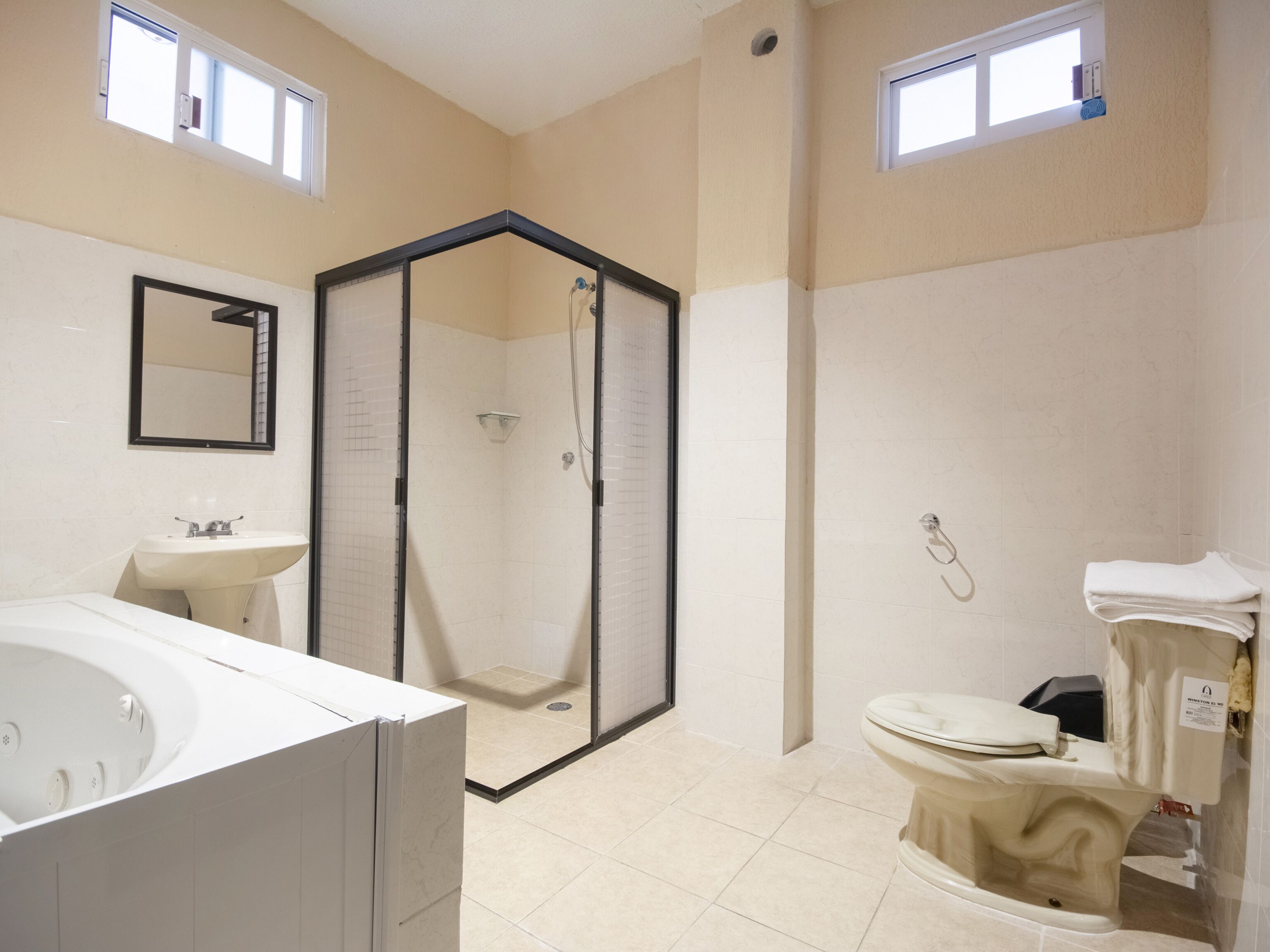 hair dryer, towels, soap, shampoo