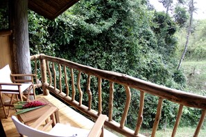 Standard Double or Twin Room, 1 Bedroom, Pool Access, Garden View | View from room
