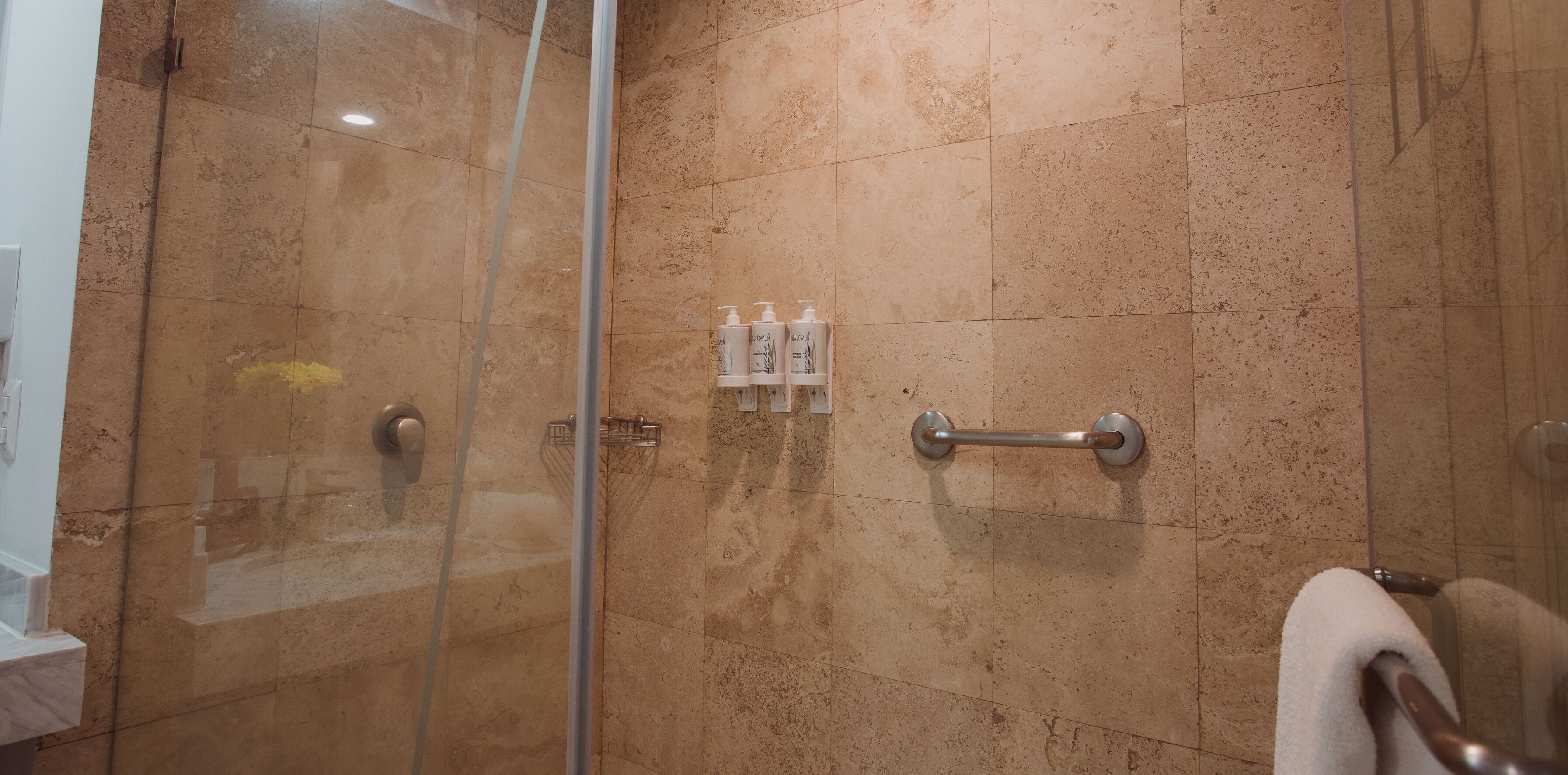 Un baño con cabina de ducha de vidrio, barra de apoyo y artículos de aseo en un estante.