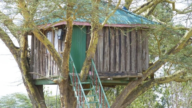 A treehouse with a metal staircase and a green roof. - Osim Country Lodge (Ewaso Ngiro)