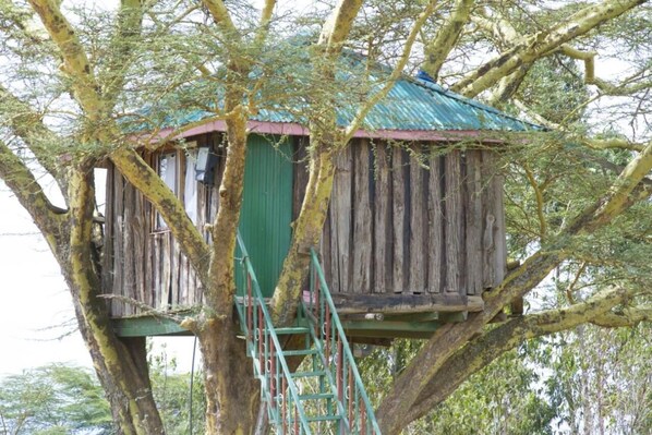 Property grounds - Osim Country Lodge (Ewaso Ngiro)