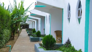 A row of white buildings with green trim and arched windows, lined with small plants and a pathway. - Osim Country Lodge (Ewaso Ngiro)