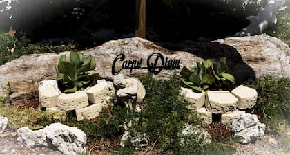 Carpe' Diem Heart of the Fl. Keys Specials