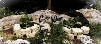 Carpe' Diem Heart of the Fl. Keys Specials