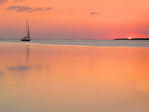 Carpe' Diem Heart of the Fl. Keys Specials