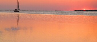 Carpe' Diem Heart of the Fl. Keys Specials