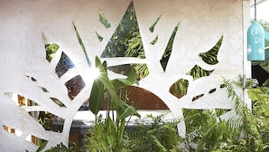 A white wall with geometric cutouts and lush green plants in front.
