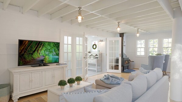 TV, fireplace, DVD player, books