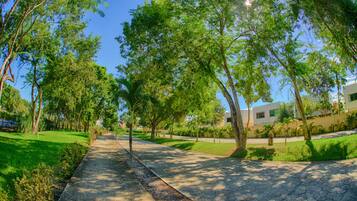 Property grounds