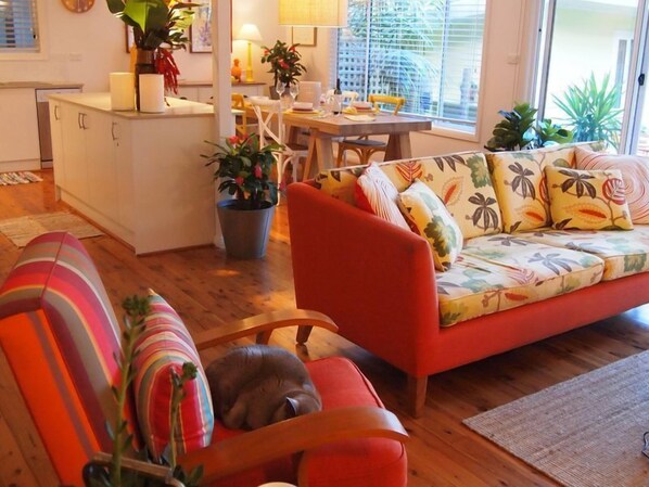 Smart TV, DVD player, video library, stereo