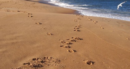 Retro Beach House on Pearl Beach