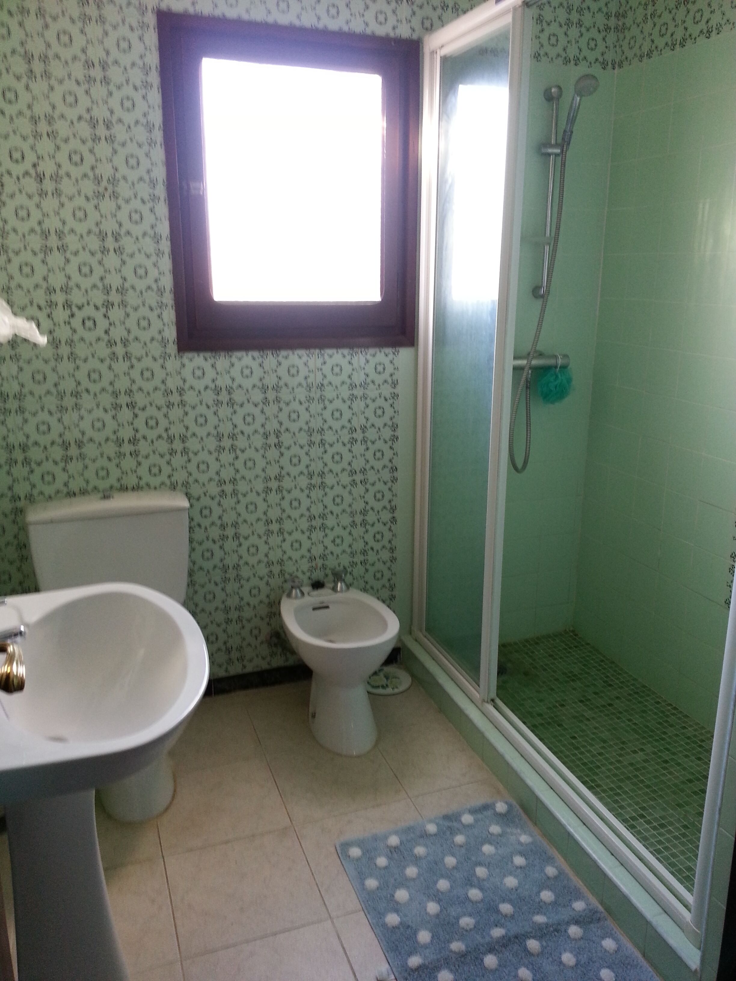 A bathroom with a toilet, bidet, and shower.