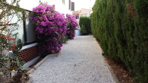 A gravel pathway flanked by a cactus and purple bougainvillea, leading to a building with a white facade and dark shutters. - 5 DBR villa.Dual level with own pool. Walking distance to Calpe's Levante beach (Alicante)
