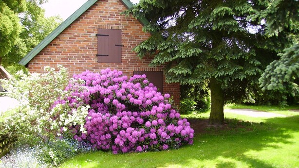 A brick building with a green roof, surrounded by lush greenery and a large bush of purple flowers. - Vacation in the middle of nature (Nahrendorf)