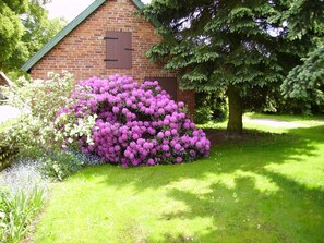 Ulkoalueet