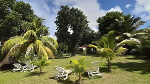 A grassy outdoor area with white lounge chairs and palm trees.