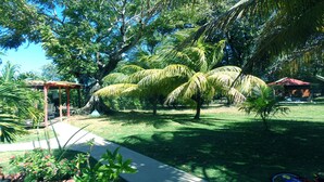 A tropical garden with palm trees, a gazebo, and a small building.
