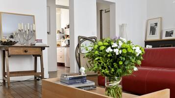 Televisie, een open haard, een dvd-speler en boeken
