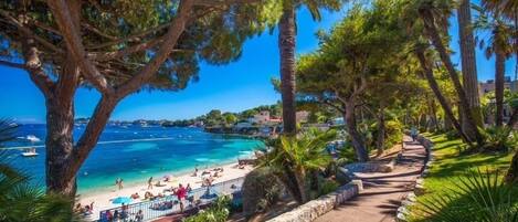 Plage à proximité, chaises longues, serviettes de plage