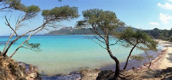 In Strandnähe