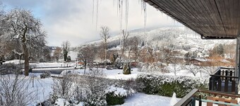 Appart 100 m² Downtown in garden 2 Ha 300 m from the Lake (garden & lake views)