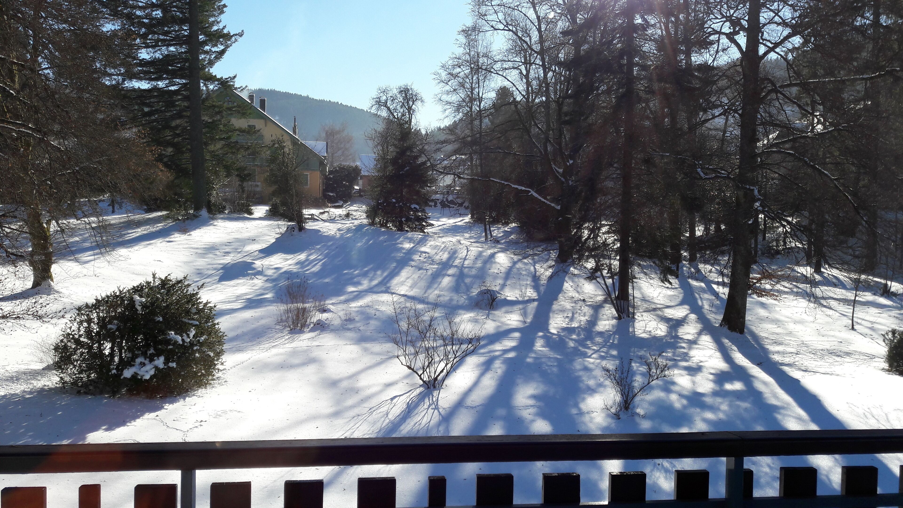 A snowy landscape with trees and a building in the background.