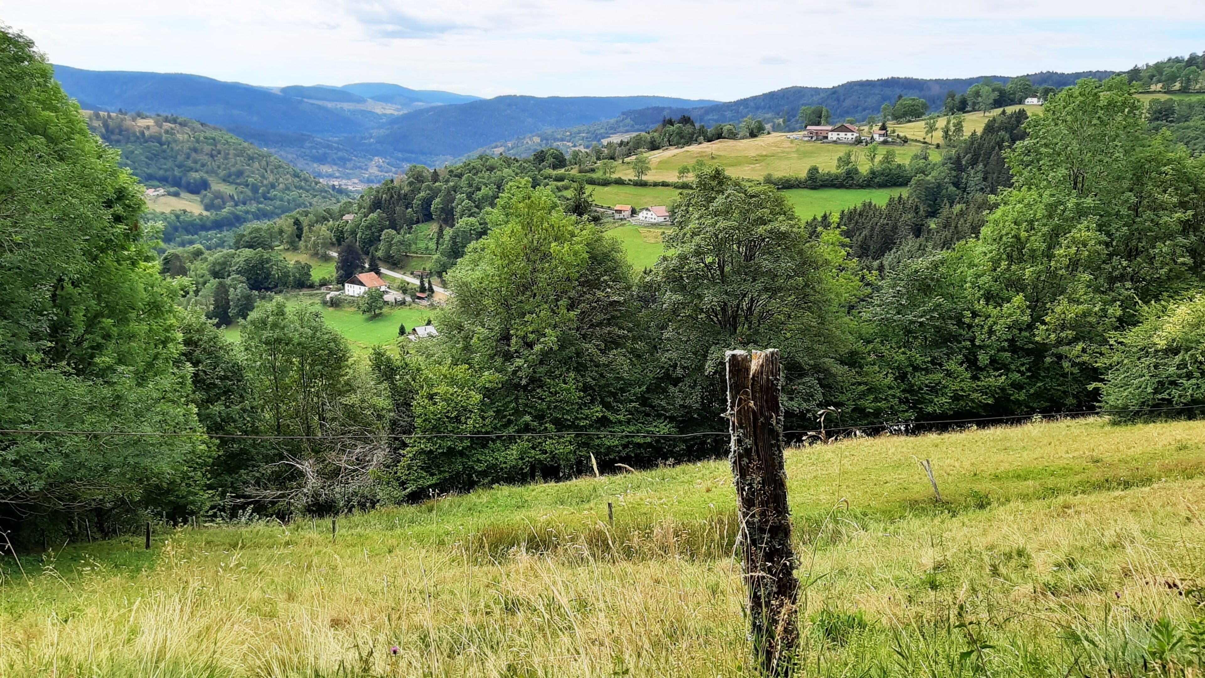 A rural landscape with rolling hills, a small village, and a prominent tree in the foreground.
