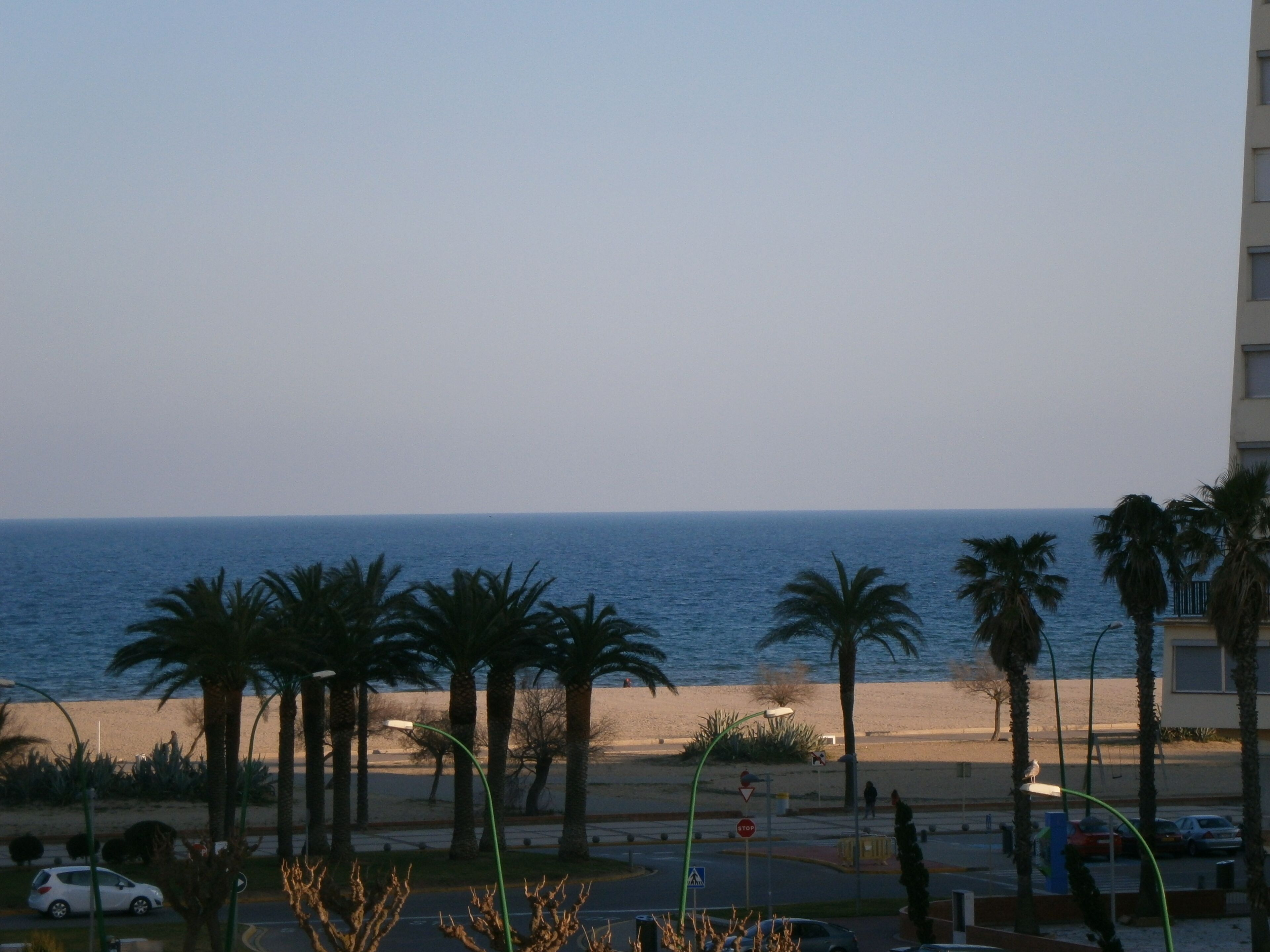 A coastal view with a beach, palm trees, and a road with cars.
