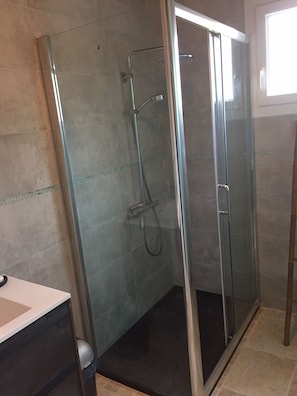 Shower, hair dryer, toilet paper
