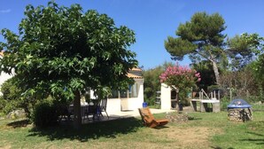 Un jardín con un banco de madera, un árbol y una estructura de piedra.