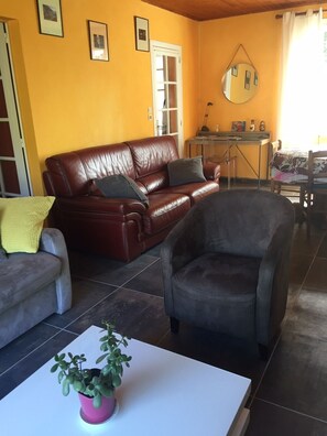 Televisión, chimenea, libros y estéreo 