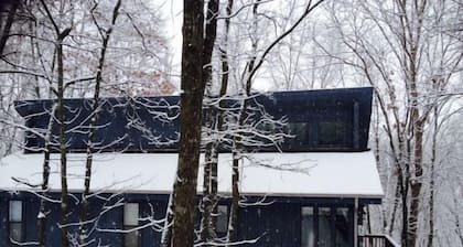 Great Five-Bedroom Massanutten Lodge for You to Relax -Military Discounts Avail