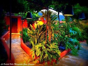 Stroll through the serene garden, surrounded by lush ferns and palm-like foliage, and enjoy the tranquil ambiance.