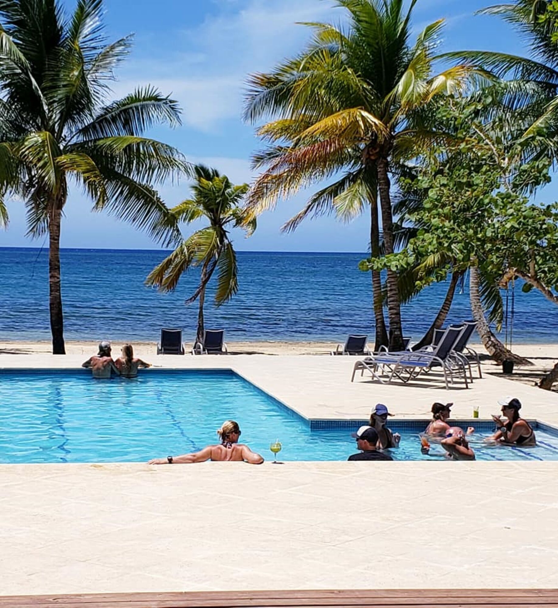 Un espace aménagé au bord de la piscine, avec des palmiers, des chaises longues et une vue sur l’océan.