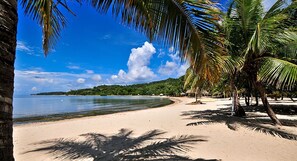 A beach with palm trees, clear water, and a distant forested island.