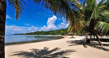 Luontoilijan iloksi! Puutarha, yksityinen ranta, uima-allas, sukellusvene, suihkutiloissa