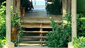 Une passerelle couverte en bois mène à un espace aménagé avec vue sur la mer.