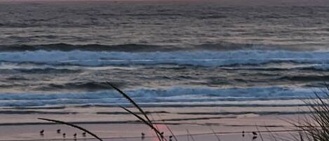 Beach nearby, beach towels