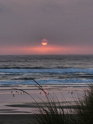Nær stranden og strandhåndklær
