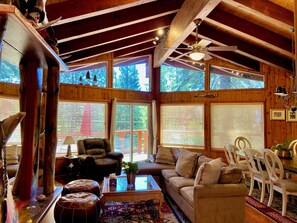 Smart TV, fireplace, DVD player, books