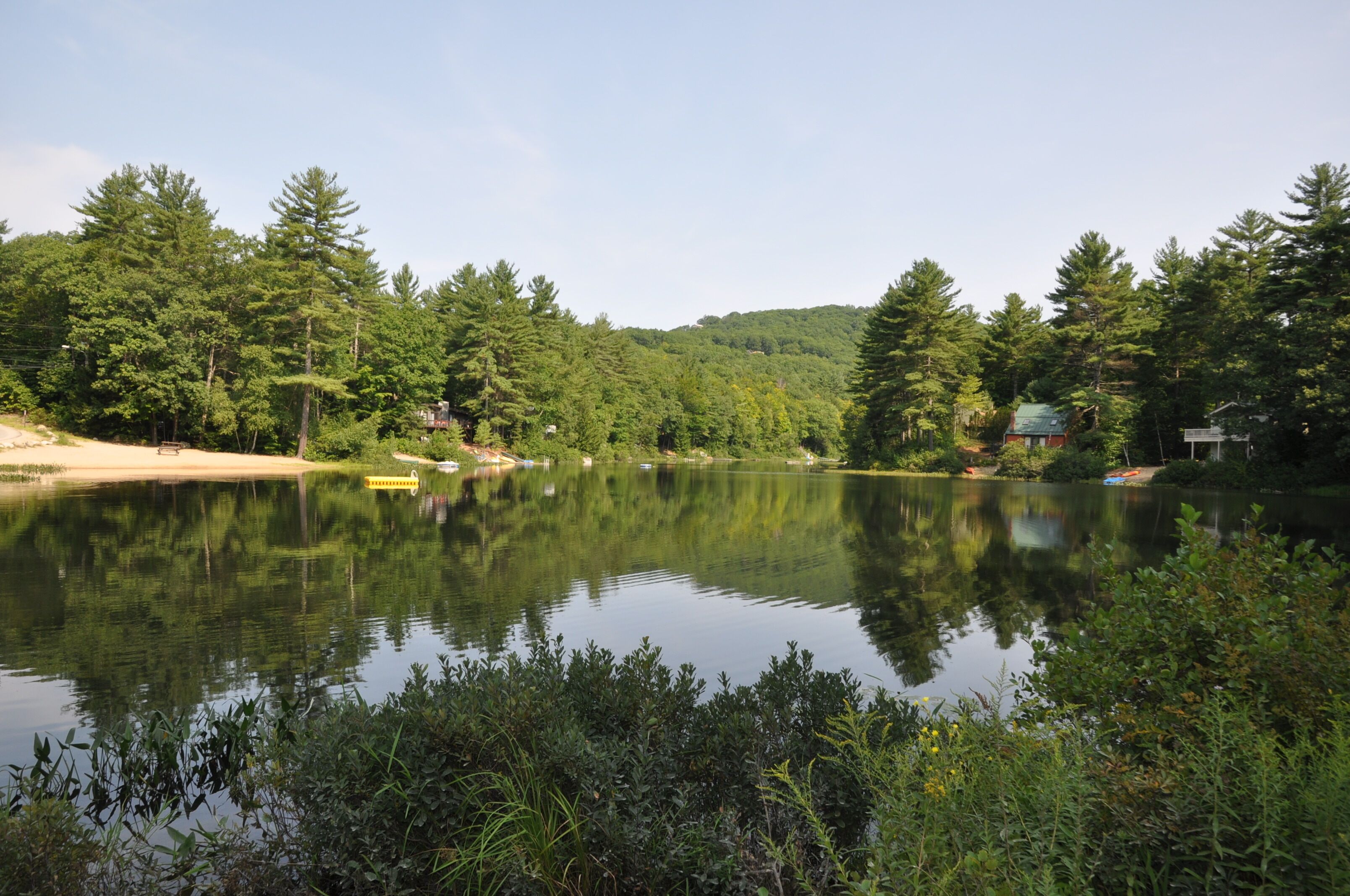 A serene lakeside setting with dense forest, a sandy beach, and a small dock.