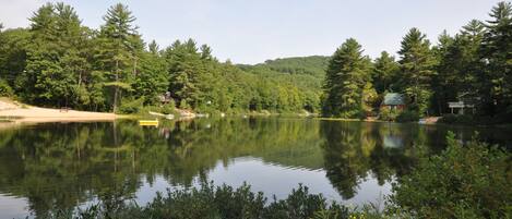 A serene lakeside setting with dense forest, a sandy beach, and a small dock.