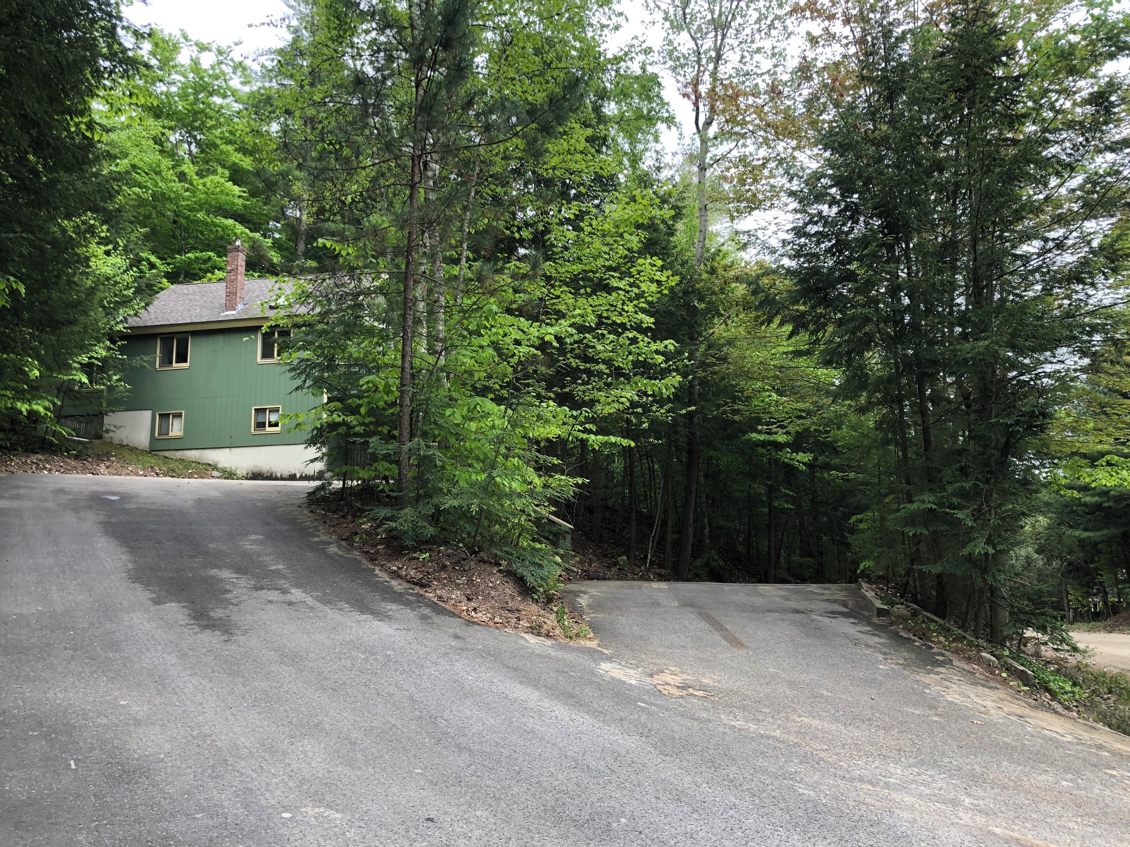 A green house with a paved driveway surrounded by dense forest.