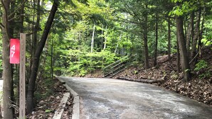 A paved road in a wooded area with a red sign displaying the numbers 47. - 2 min WALK to BEACH!Summer Escape!Relax,hike,swim,shop...NConway/Eidelweiss. (Madison)