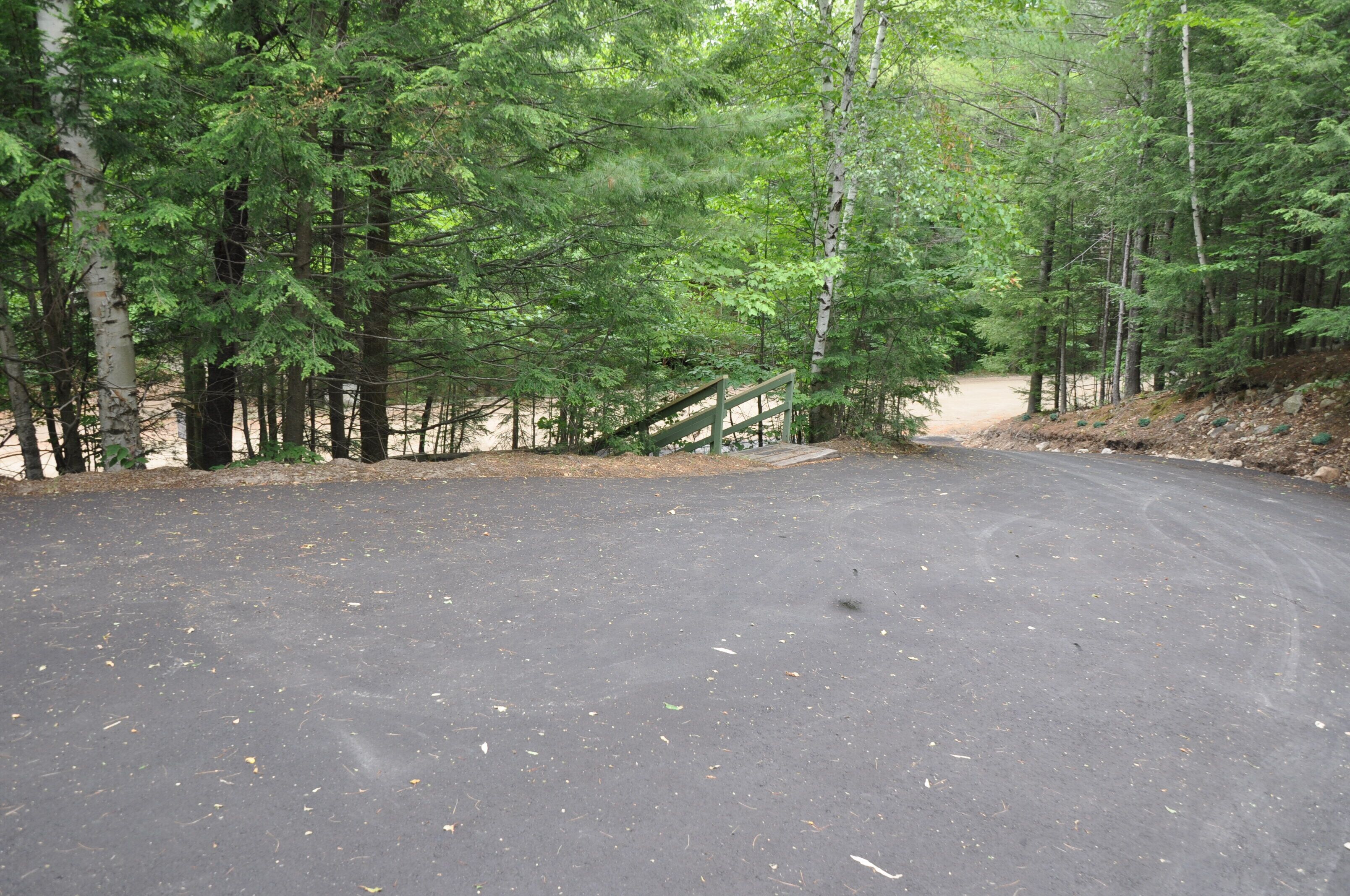 A paved parking area surrounded by dense green trees.