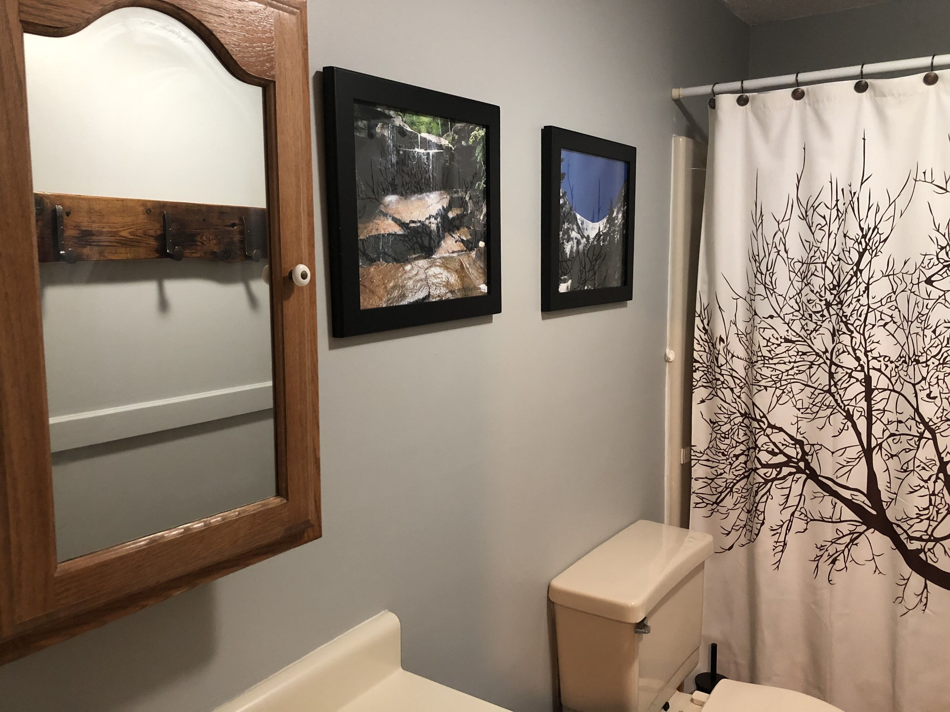 A bathroom with a wooden-framed mirror, two framed photographs on the wall, a toilet, and a shower curtain with a tree design.